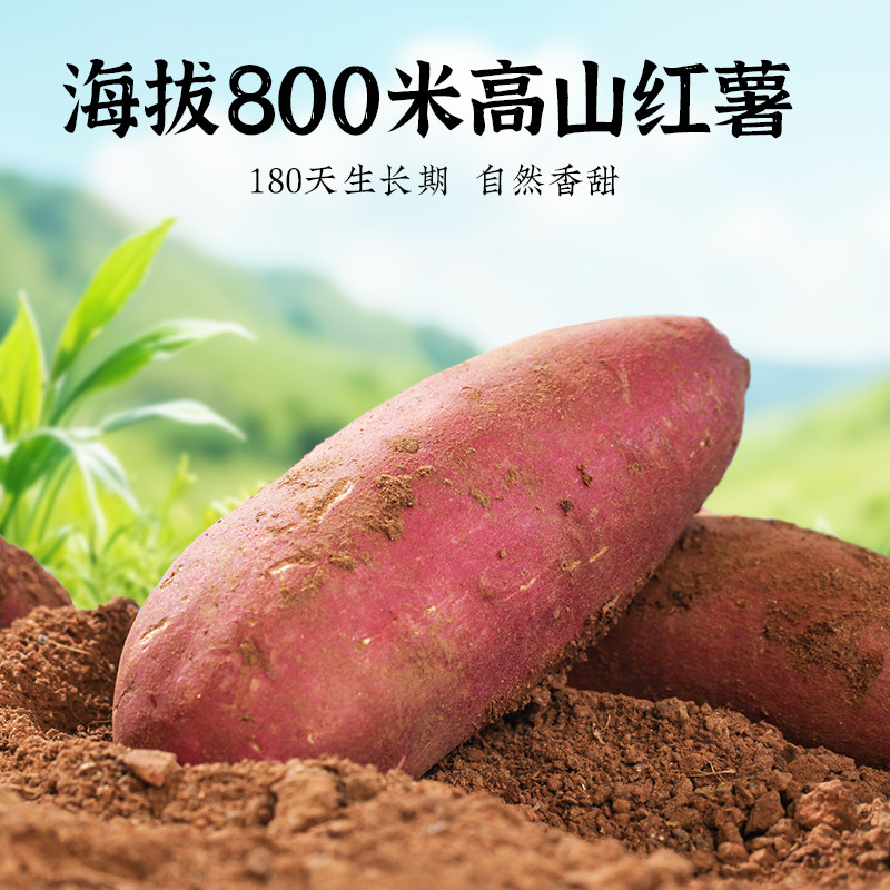 新日期四川手工纯正红薯淀粉500g农家地瓜粉家用红苕番薯淀粉非颗