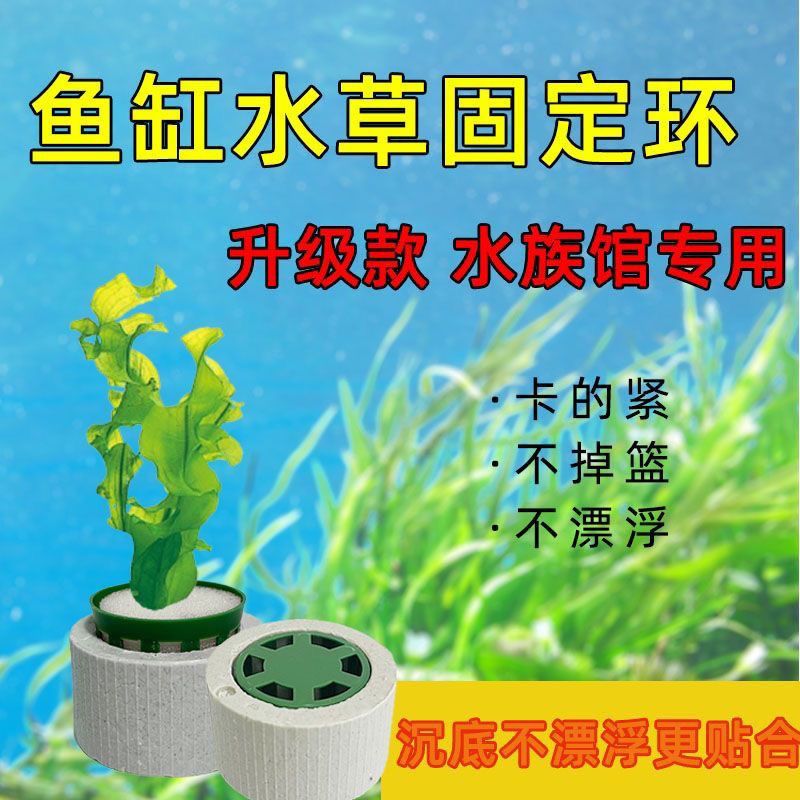 新款水草固定环水草定植三件套陶瓷环定植棉定植篮定植环鱼缸沉环