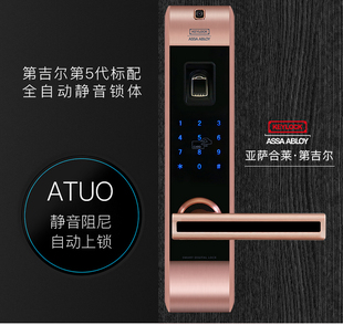 Keylock 第吉尔指纹锁微信锁开门家用控制锁防盗锁智能锁门锁313