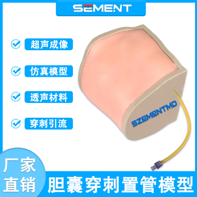 超声引导胆囊穿刺置管教学模型