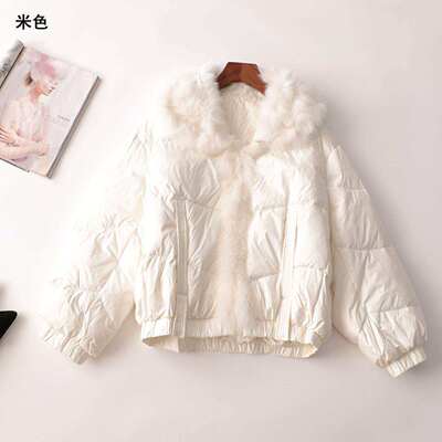 244210 冬羽绒服 女中长款长袖翻领.L