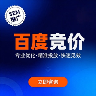 百度baidu搜索引擎SEM竞价关键词排名推广托管 专业代运营推广