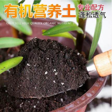 家用花土家庭营养土多肉专用土盆栽种植土酸性发酵有机花卉多肉土