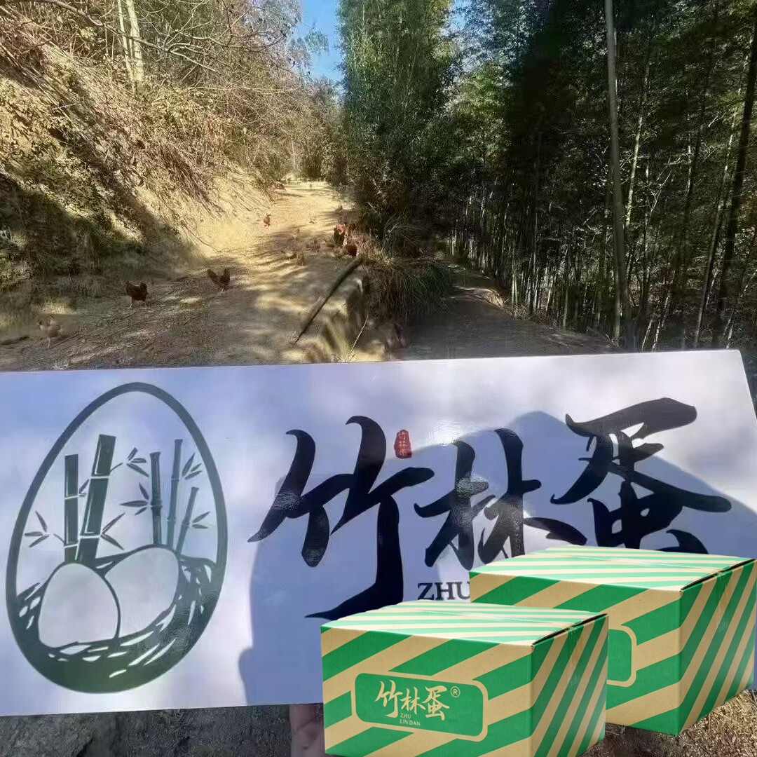 九华山竹林蛋50枚顺丰包邮安徽皖南土鸡蛋农家散养草鸡蛋礼盒整箱