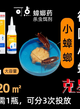 可点[蟑一丁]蟑螂药德国小蠊专杀家用强效灭除广东小强本店第一名