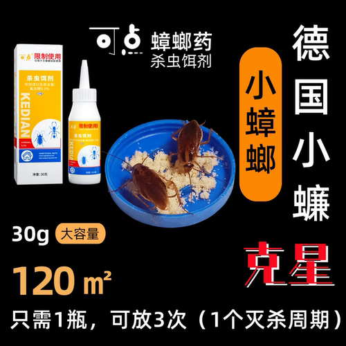 可点[蟑一丁]蟑螂药德国小蠊专杀家用厨房强效灭除广东小强大曱甴