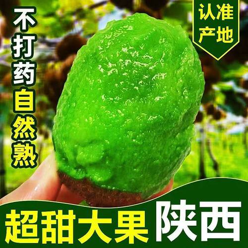 【产地直发】陕西正宗徐香猕猴桃新鲜采摘老人水果绿心纯甜包邮