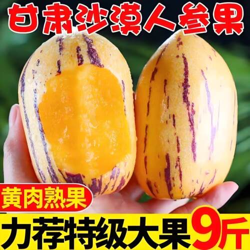 甘肃民勤沙漠人参果黄肉大果人生果新鲜现摘应季低糖水果产地直发