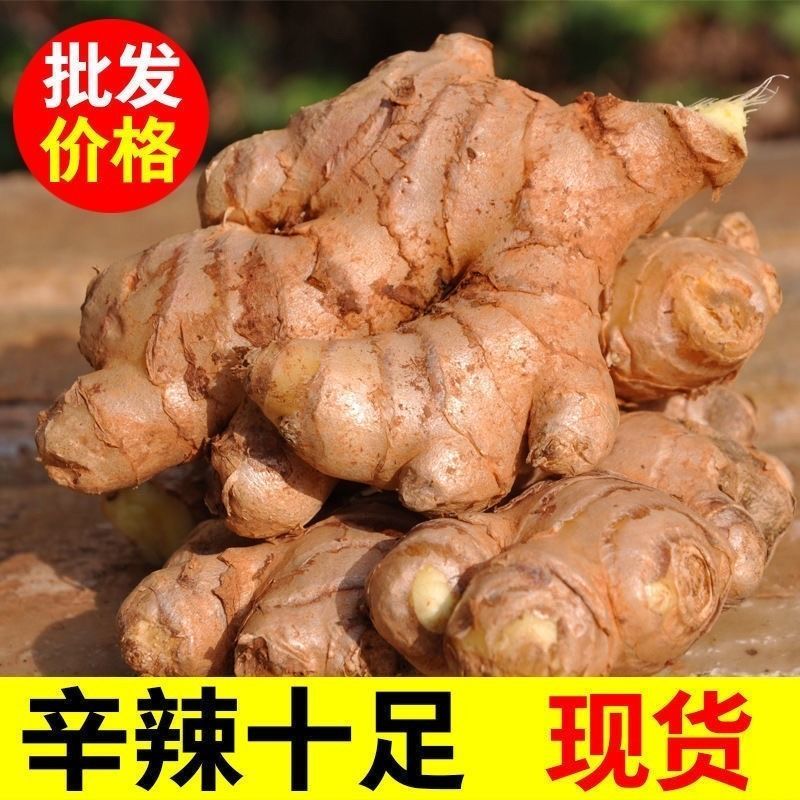 云南小黄姜批产地批新鲜生姜辛辣十足姜撞奶搭档纯天然原材料包邮