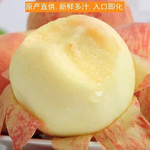 农家新鲜水蜜桃10无锡桃子助农斤