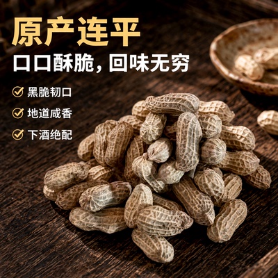 河源忠信黑脆花生500g咸松咸韧原味带壳落花生连平特产袋装下酒菜
