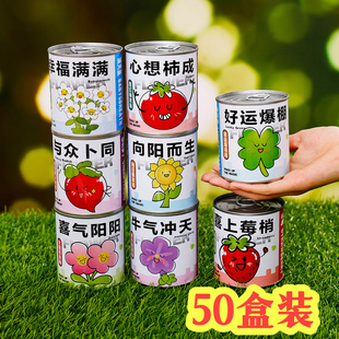 种植罐头网红种植小盆栽桌面学生创意礼物植物盲盒植树节儿童礼品