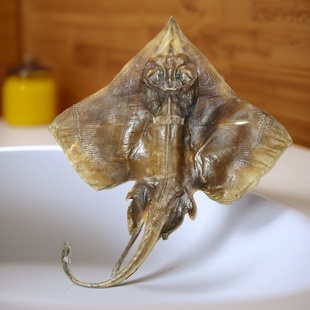 皮鱼干特大中小魔鬼鱼鳐鱼老板鱼脆软骨鱼鲽鱼晒干海鲜干货散装