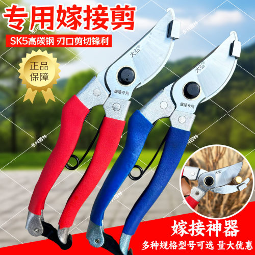 大弘嫁接剪多功能新款嫁接专用剪刀果树嫁接神器嫁接剪刀大斜口