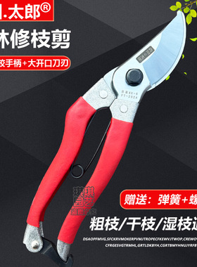 森川太郎FM202A日本SK5修枝剪 园林剪刀工具修枝剪园艺剪果树剪手