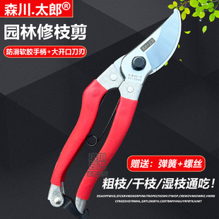 森川太郎FM202A日本SK5修枝剪 园林剪刀工具修枝剪园艺剪果树剪手