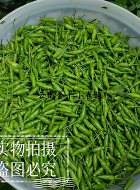 云南红河小雀辣新鲜魔鬼辣辣椒