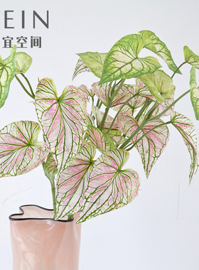 手感3D粉绿色海芋叶仿真花植物家居餐桌装饰插花盆栽假花配材绿植