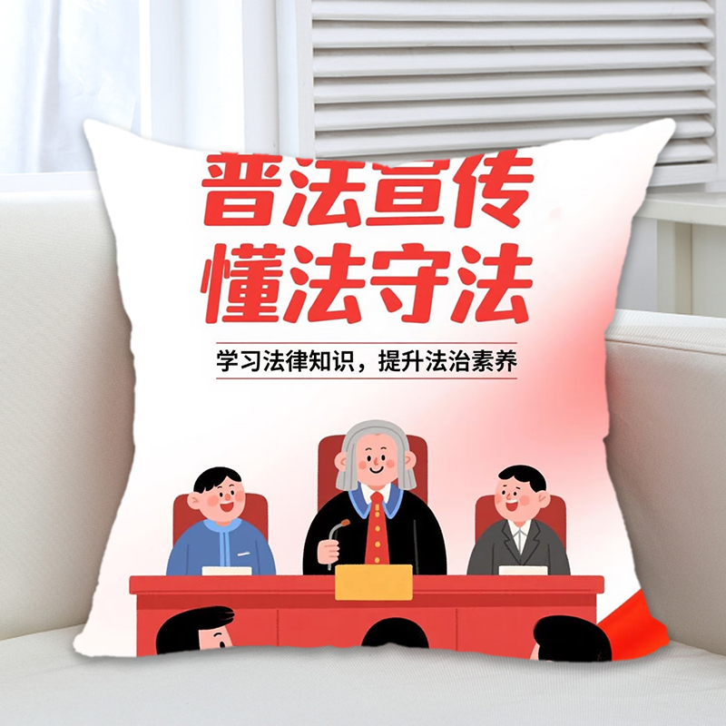 政府机关银行保险单位国家12.4宪法日民法典宣传纪念品抱枕靠垫订