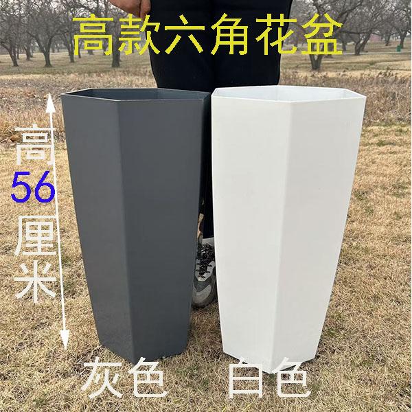 树特价脂花盆加厚特大号种树种花绿萝花盆特价清仓天堂鸟塑料花盆