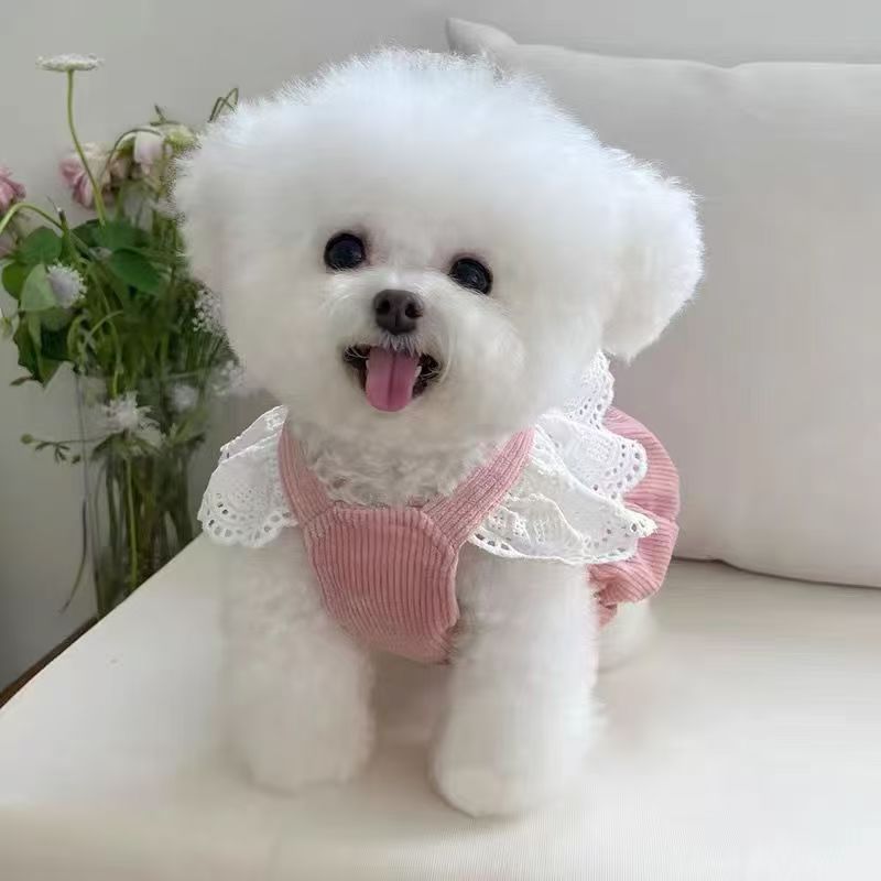 宠物衣服秋冬新款灯芯绒南瓜裙可牵引泰迪比熊狗狗猫咪小狗蕾丝裙