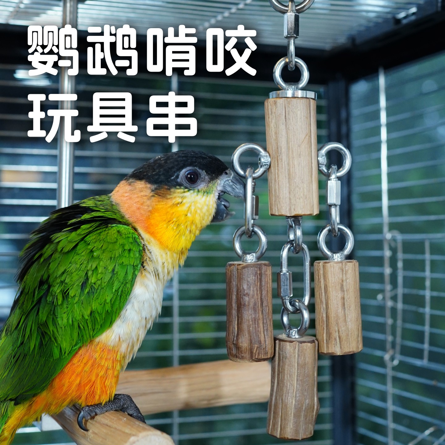 鹦鹉啃咬磨嘴玩具六道木不锈钢磨嘴耐咬解压发泄鸟笼用品挂件装饰,宠物/宠物食品及用品,鸟玩具,淘宝优惠券,粉丝福利购,淘宝优惠卷