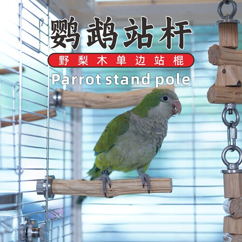 野梨木鹦鹉站杆磨嘴鸟笼单边站杆自然树枝玄凤牡丹小太阳和尚站棍
