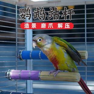 鹦鹉磨爪棒磨砂原木小鸟站杆站棍架虎皮玄凤牡丹专用磨嘴牙石玩具