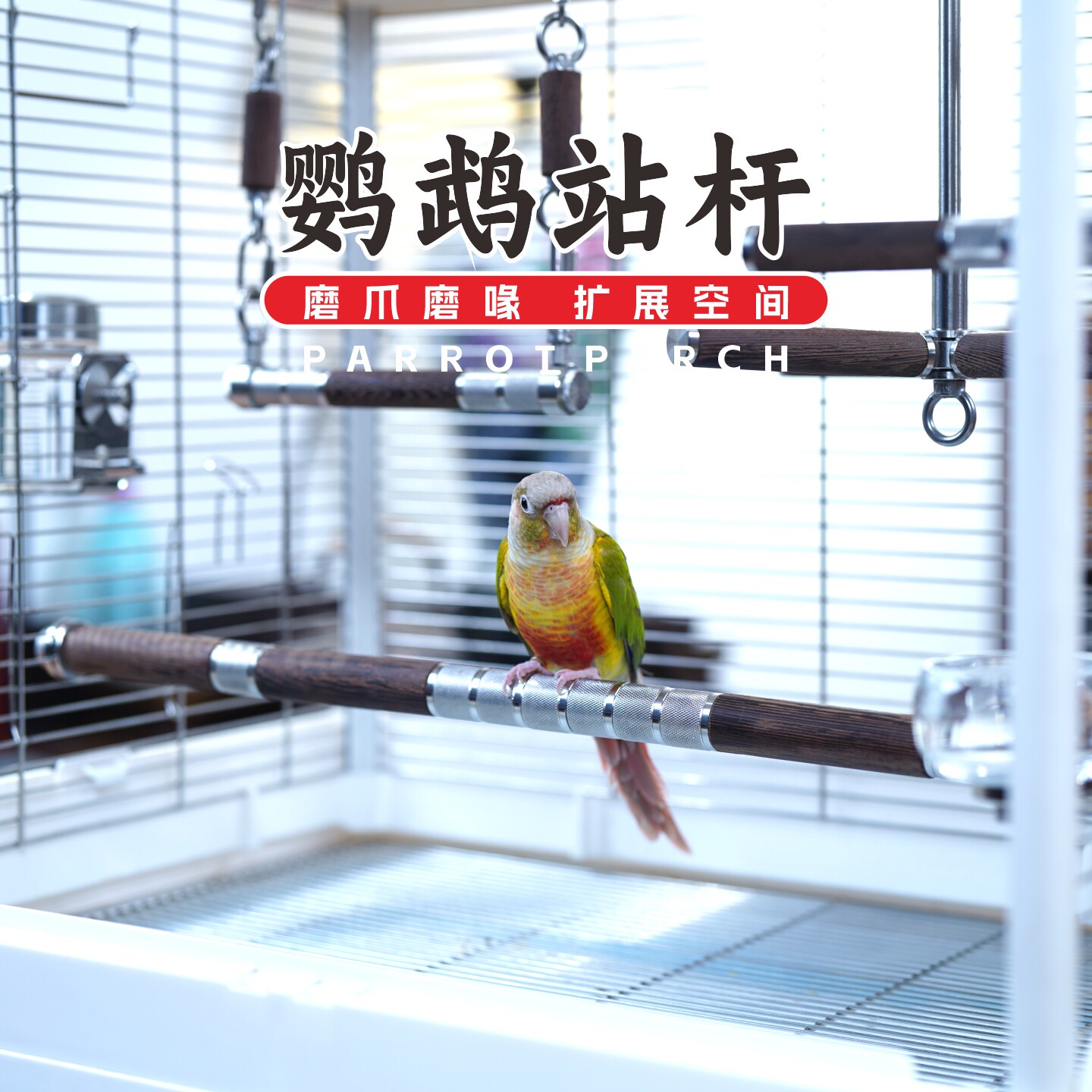 鹦鹉站杆实木304不锈钢牡丹小太阳和尚凯克60475001T50B2鸟笼站棍图片