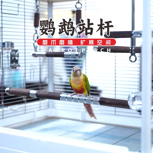 鹦鹉站杆实木304不锈钢牡丹小太阳和尚凯克60475001T50B2鸟笼站棍