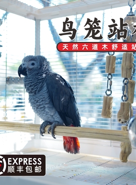 鹦鹉站杆天然六道木达洋鸟笼B4001B4002B5001B6045B6047实木站棍