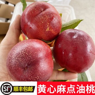 山东油桃新鲜水果现摘黄心麻点油桃蒙阴蜜桃孕妇大果黄肉脆甜桃子