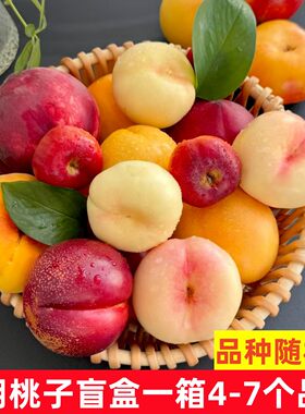 稀有品种奶油蜜玉白油桃超级甜