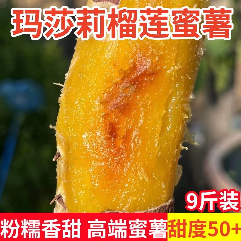 正宗榴莲蜜薯玛莎莉红薯