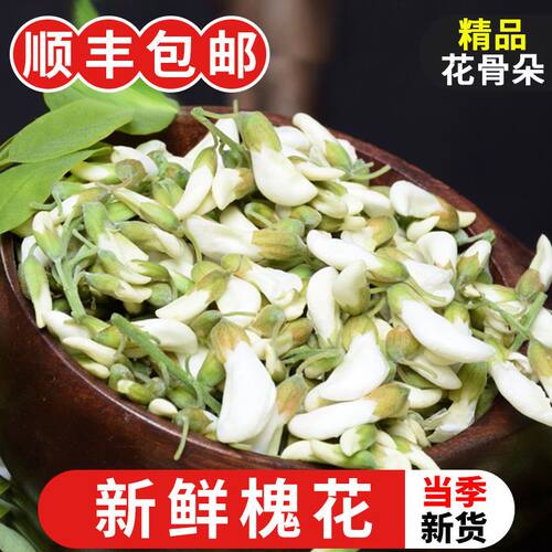 2024新鲜榆钱儿野菜榆树钱串子洋槐花现摘现发榆钱子榆钱串花骨朵