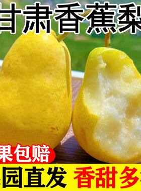 甘肃高山香蕉梨软糯香甜