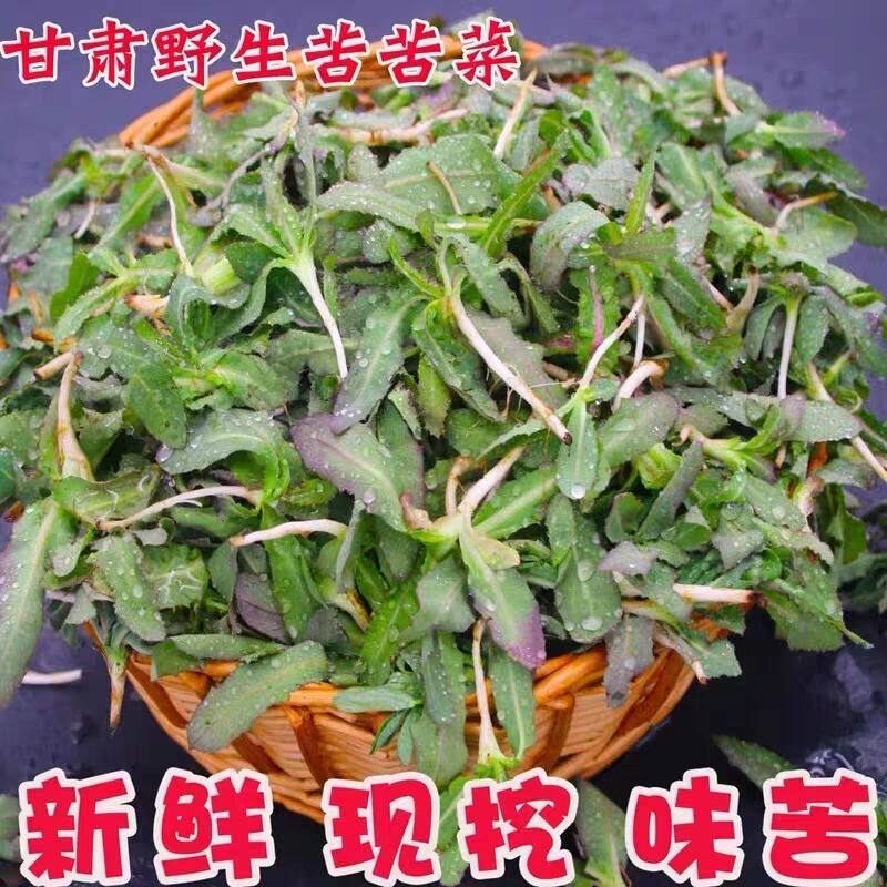 新鲜曲麻菜甘肃深山野菜野生苦苦菜苦麻子荠菜苦苣菜曲麻菜凉拌