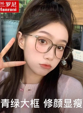新款TR眼镜架复古透明眼镜框女素颜高级感镜架眼镜30266