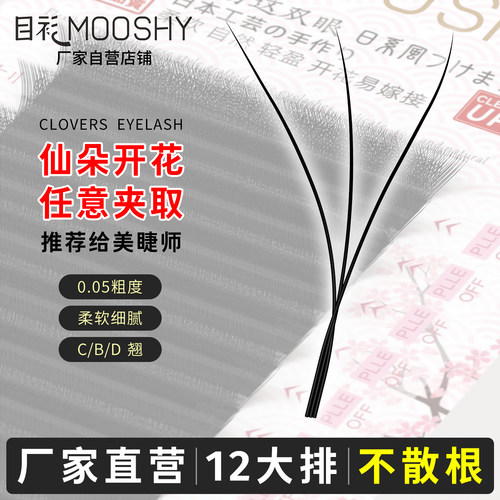 三叶草嫁接睫毛美睫眼睫毛