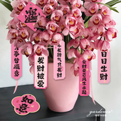 粉色发财长条吊牌新年年宵花福桶蝴蝶兰绿植装 饰吊卡好运暴富挂卡