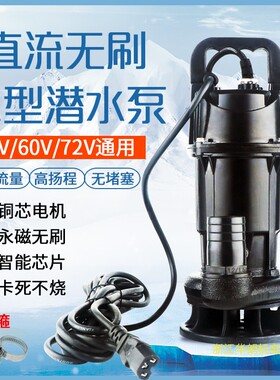 电瓶车直流无刷污水泵48-72抽水机潜水泵浇花浇菜家用智能