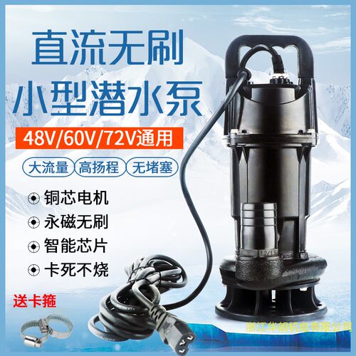 直流无刷污泵电动车水泵48-72V