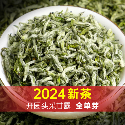 2024新茶初春头采嫩芽蒙顶甘露