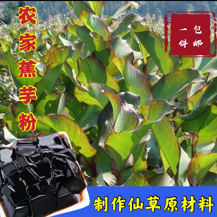 蕉芋粉正宗福建农家旱藕粉芭蕉粉嫩肉淀粉烧仙草原料食用粉500g