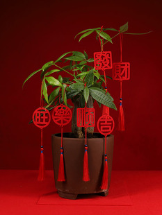 2026新年绿植盆栽挂饰 乔迁小福子流苏挂件吊饰吊坠花卉鲜花 装饰