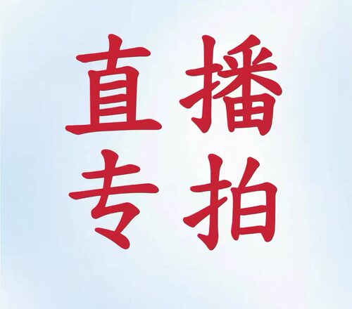 【2166】修身小短款女士长袖T恤