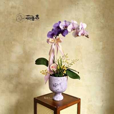 外贸酒杯设计陶瓷桌面花盆绿植风信子蝴蝶兰盆景通用装饰简约花器