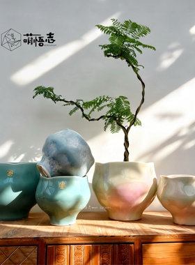 新中式陶瓷花盆轻奢高级感家用室内桌面绿植盆栽兰花发财树专用盆