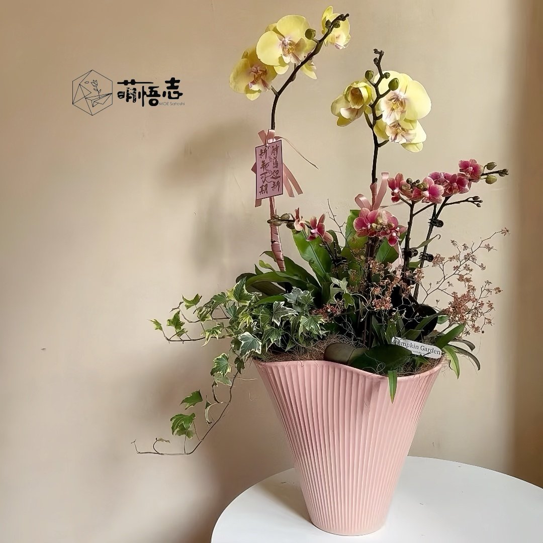 景德镇艺术高脚陶瓷花盆兰花三角梅流泉枫高级感客厅蝴蝶兰专用,鲜花速递/花卉仿真/绿植园艺,花盆,淘宝优惠券,粉丝福利购,淘宝优惠卷