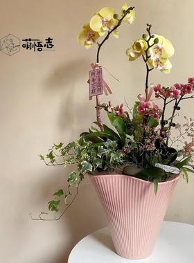 景德镇艺术高脚陶瓷花盆兰花三角梅流泉枫高级感客厅蝴蝶兰专用